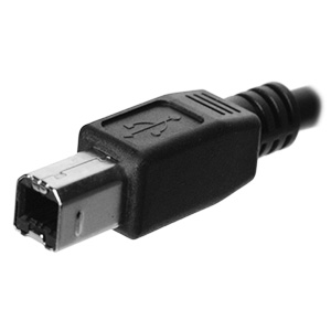 USB2.0 Type B Male